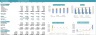 Project Boutique Hotel 5-Year DCF Advanced Financial Model