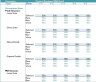 Project Boutique Hotel 5-Year DCF Advanced Financial Model