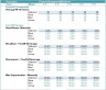 Project Boutique Hotel 5-Year DCF Advanced Financial Model