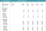 Project Boutique Hotel 5-Year DCF Advanced Financial Model