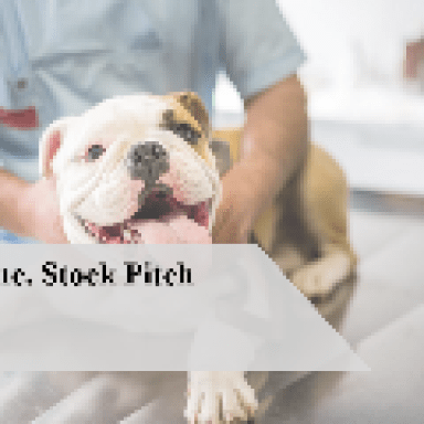 Zoetis Inc. (NYSE:ZTS) Stock Pitch Template (Slide Deck and Model)
