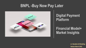 Buy Now Pay Later Financial Model+Market Insight