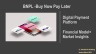 Buy Now Pay Later Financial Model+Market Insight