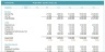 Buy Now Pay Later Financial Model+Market Insight