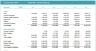 Buy Now Pay Later Financial Model+Market Insight
