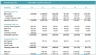 Buy Now Pay Later Financial Model+Market Insight
