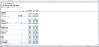 Profit & Loss Statement Template in Excel