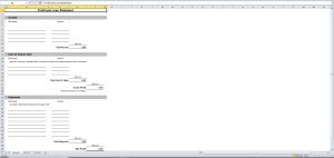 Profit & Loss Statement Template in Excel