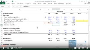 Revenue Models for Consumer Retail Companies