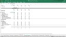 Overall Business Excel Financial Model