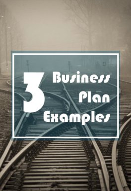 3 Business Plan Examples