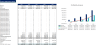 Blockchain Professional Services Excel Financial Model