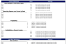 Blockchain Network Excel Financial Model