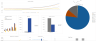 Theme Park Excel Financial Model Template