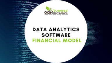 Data Analytics Software Financial Model