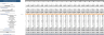 Data Analytics Software Financial Model
