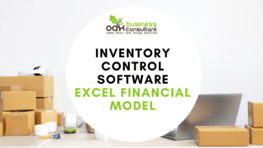Inventory Control Software Financial Model