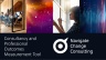 Consultancy and Professional Services Impact and Outcomes Measurement Tool and Example