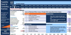 Financial Feasibility Study - Business Consultancy