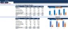 Financial Feasibility Study - Business Consultancy