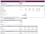 Hypnotherapy Excel Financial Model Template
