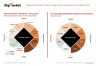 Spencer Stuart Culture Alignment Framework Template
