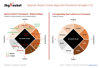 Spencer Stuart Culture Alignment Framework Template