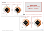 Spencer Stuart Culture Alignment Framework Template