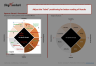 Spencer Stuart Culture Alignment Framework Template