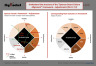 Spencer Stuart Culture Alignment Framework Template