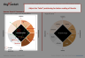 Spencer Stuart Culture Alignment Framework Template