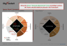 Spencer Stuart Culture Alignment Framework Template