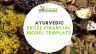 Ayurvedic Excel Financial Model Template