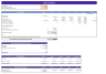 Soccer Club Excel Financial Model