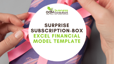 Surprise Subscription-Box Excel Financial Model