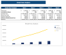 Surprise Subscription-Box Excel Financial Model