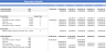 Financial Model SAAS (software as service)
