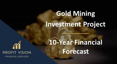 Gold Mining Investment Project - 10 year Financial Forecast