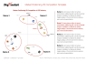 Market Positioning VS Competition - Industry Template - Four Quadrant Matrix Slide