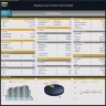 Shipping Vessels Portfolio Financial Model