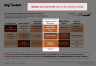 McKinsey's CEO Excellence Mindset Framework Template
