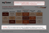 McKinsey's CEO Excellence Mindset Framework Template