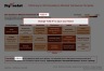 McKinsey's CEO Excellence Mindset Framework Template