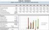 Financial Analysis