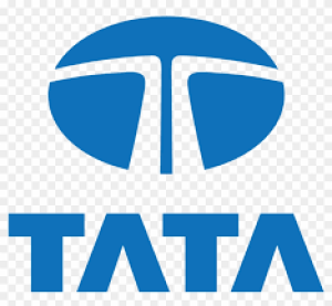 TCS Financial Model