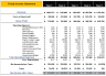Online Pet Store Excel Financial Model