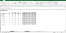 Complete Financial Model with three Financial Statements