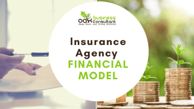 Insurance Agency Excel Financial Model