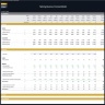 Tailoring Business Financial Model – Dynamic 10 Year Forecast