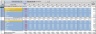 Personal budget and loan amortizations
